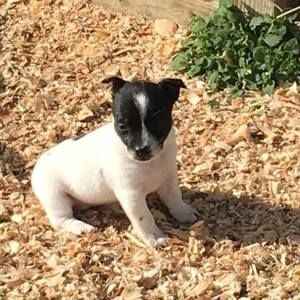 Meet your Posher, Marta